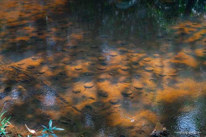 Siem Reap Full-Day Private Kulen Waterfall & 1000 Lingas Tour - Phnom Kulen Waterfall: A Refreshing Break