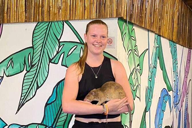 War Museum, Killing Field, and APOPO Hero RATs Tour - Practicalities and Value