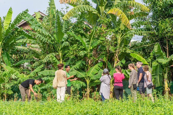 Siem Reap Countryside Sunset Ride - Key Points