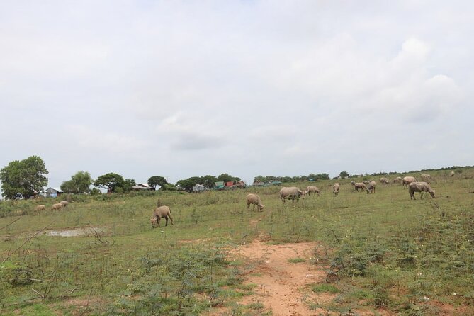 Cambodia Buggy Adventure Tours - Final Words: Why Choose Cambodia Buggy Adventure Tours?