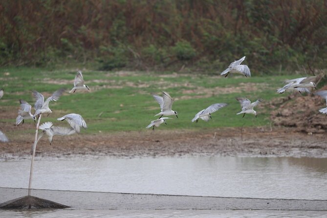Full day Cambodia Buggy Adventure Tour - Transportation & Timing