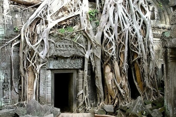 Angkor Wat Full-Day Private Tour  Bayon & Ta Prohm Highlights - The Price and Its Value