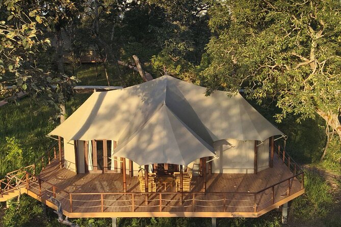 Explore Siempang Forest Lodge on a 3 Day Private Tour - The Experience from a Traveler’s Perspective