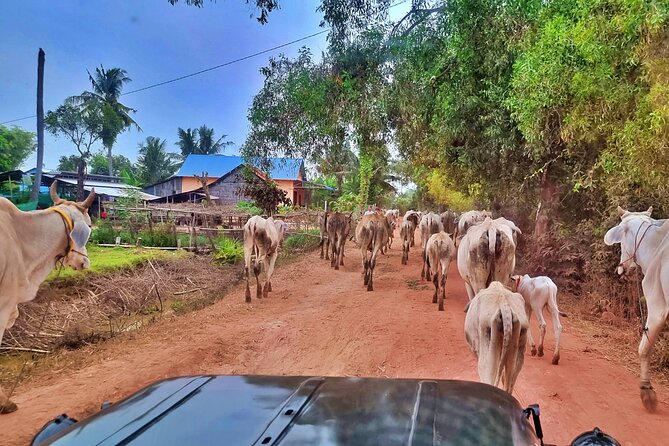 Jeep and Boat Tour in Kampong Phluk - Exploring Kampong Phluk: What to Expect