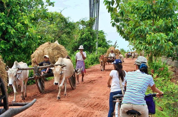 Jeep and Boat Tour in Kampong Phluk - What Travelers Should Consider