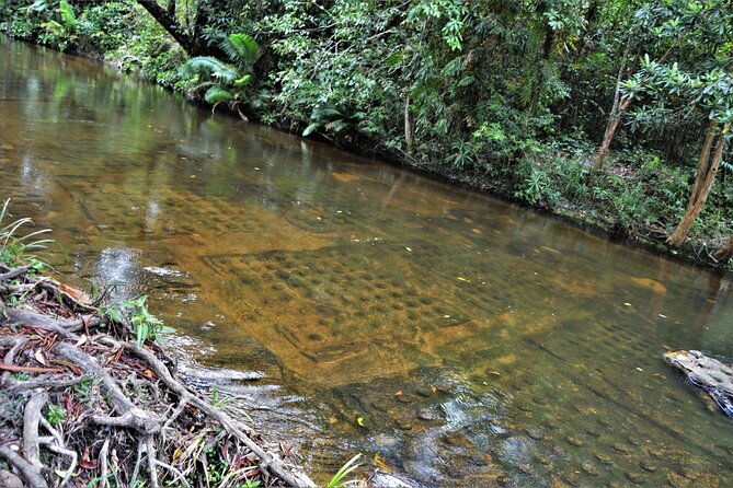 Full-Day Explore Kulen Waterfall Tour From Siem Reap - Phnom Kulen Waterfalls: Nature’s Spiritual Oasis