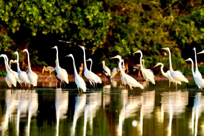 Chong Kneas Floating Village Rowing Boat Tour on Tonlé Sap Lake - FAQs