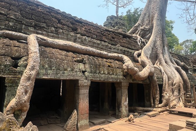 Bangkok to Angkor Wat 2 Days 1 Night by Flight - Who Is This Tour Best For?