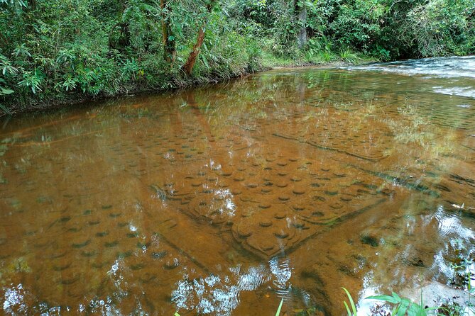 Angkor Day Tours: Phnom Kulen, Beng Mealea & Kampong Phluk Sunset - What Travelers Say