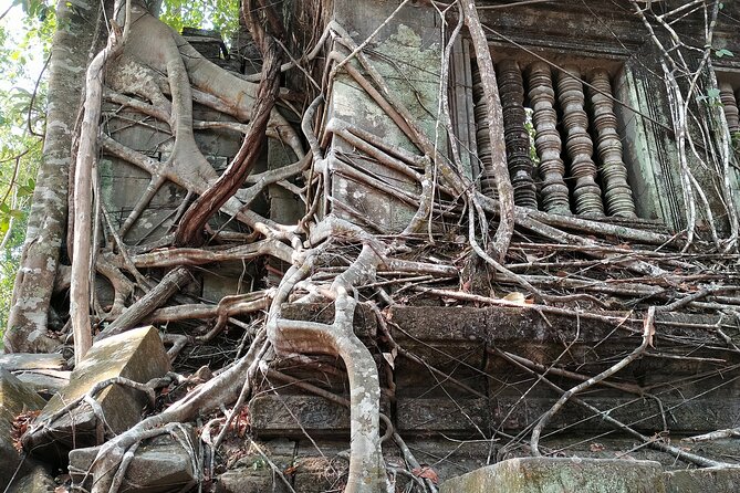 Angkor Day Tours: Phnom Kulen, Beng Mealea & Kampong Phluk Sunset - Kampong Phluk: Living on the Water