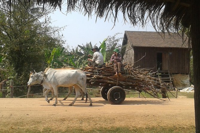 Siem Reap Countryside & Floating Village ( Meychrey) - Exploring the Cambodian Countryside