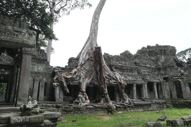 Angkor Grand Circuit Temples Tour - What Makes This Tour Stand Out