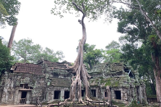 Angkor Wat Small Circuit & Sunset Tour - FAQs