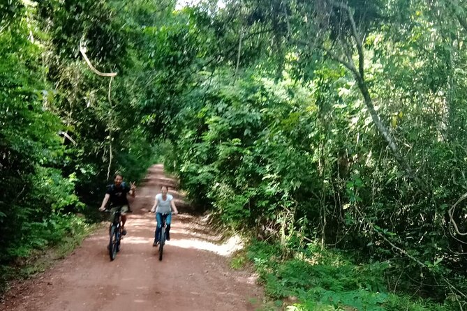 Sunset or sunrise bicycle tour around Angkor Wat and nearby temples - Who Is This Tour Best For?