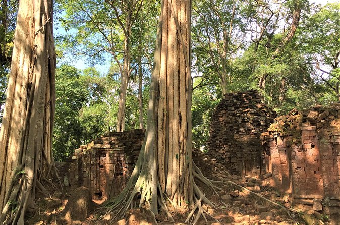Koh Ker and Beng Mealea full day exploration by Jion-in Tour - The Sum Up: Who Should Consider This Tour?