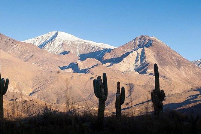 One Day Tour of Cachi and Calchaquí Valleys from Salta - An In-Depth Look at the Journey