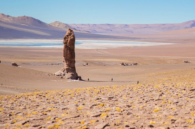 Half Day Tour to San Pedro de Atacama by Ruta de los Salares - Who Will Love This Tour?