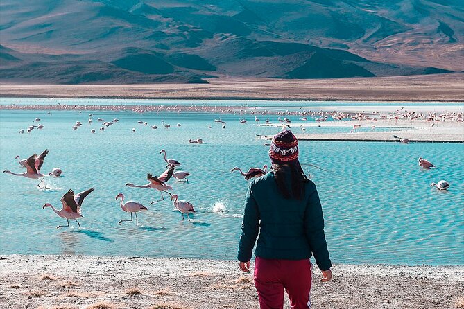 Private tour from San Pedro de Atacama Chile to the Salar de Uyuni - Who Will Love This Tour?