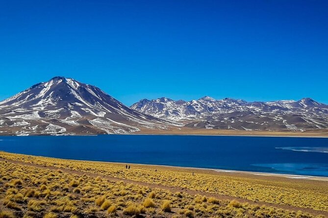 Red Stones, Altiplanic Lagoons and the Atacama Salt Flat - Why This Tour Offers Good Value