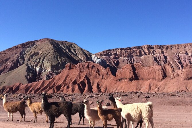 4 Tour in 2 Days, in San Pedro de Atacama - Key Points