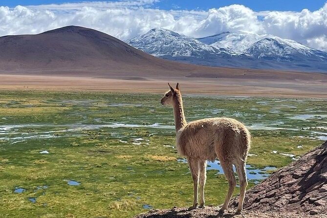 4 Tour in 2 Days, in San Pedro de Atacama - A Two-Day Adventure through the Heart of the Atacama Desert