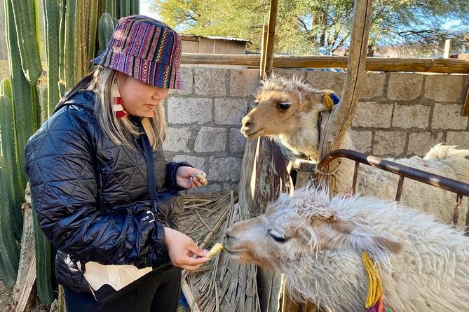 Private Tour: Piedras Rojas, in San Pedro de Atacama - Exploring San Pedro de Atacama’s Most Iconic Sites