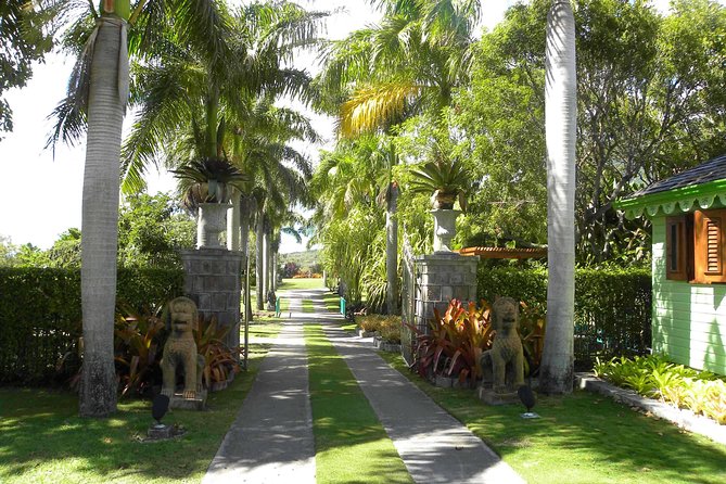 Discover Nevis, Island Tour (Private) - Who Is This Tour Best For?