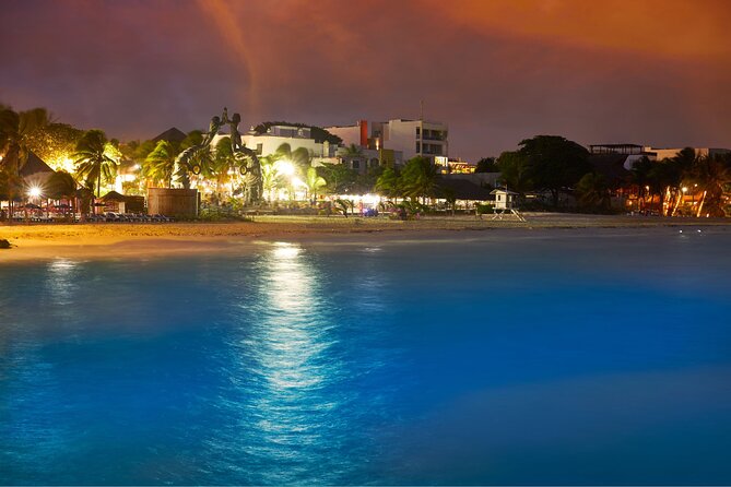 Private Custom Walking Tour with a Local Guide Playa del Carmen - Final Thoughts