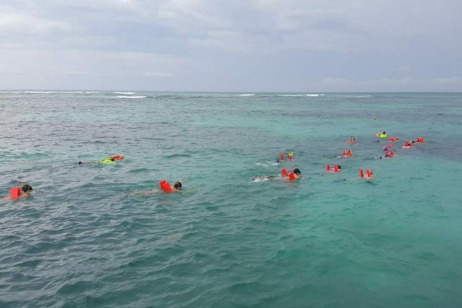 Fantastic Day Isla Mujeres Unlimited Catamaran from Riviera Maya - Authentic Traveler Feedback: The Ups and Downs