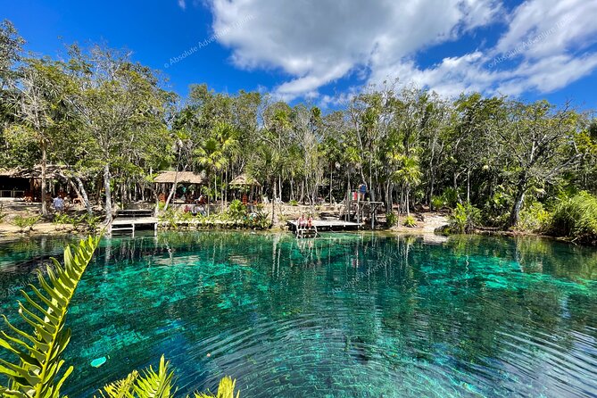 Bestseller! Tulum Private Tour with Turtles and Cenote Snorkeling - Who Should Consider This Tour?