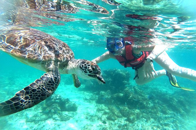 Half-Day Sea Turtle and Cenote Snorkeling Tour from Cancun & Riviera Maya - Final Thoughts