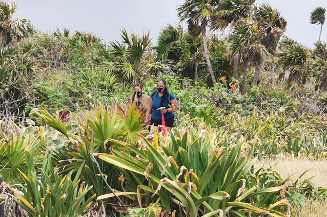 Private Full-Day Guided Tulum Coba and Cenote Tour with Lunch - Who Will Love This Tour?