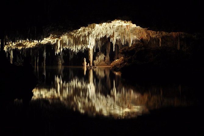 Rio Secreto Plus: Classic Tour, Bycicle, Rappel & Ziplines - Who Should Book This Tour?