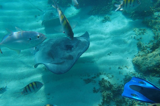 4H Lux 40' Catamaran All-Inclusive in Tulum and Playa del Carmen. - A Closer Look at the Experience