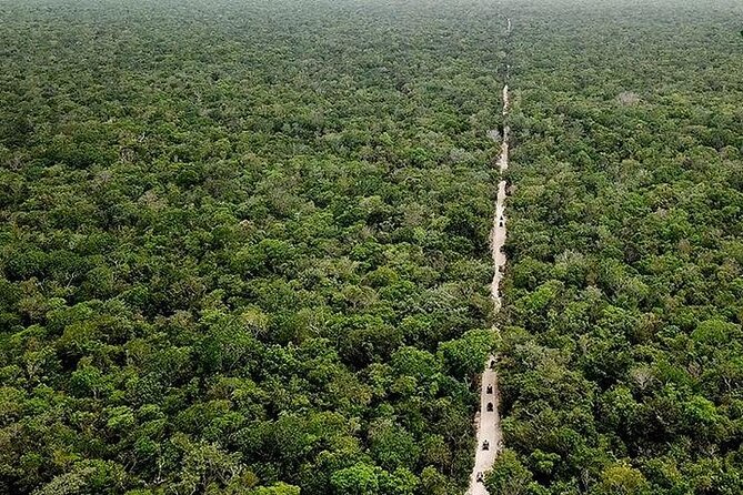 Jungle ATV, Cenote and Snorkel with Sea Turtles Adventure - A Deep Dive into the Jungle ATV, Cenote, and Snorkeling Adventure