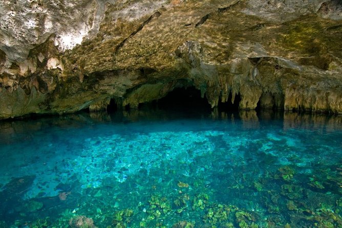 Discover the magnificent Secret River of the Riviera Maya. Transport included - Good To Know
