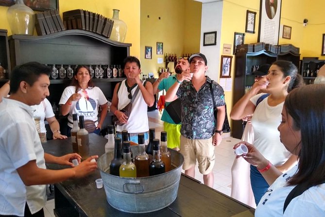 Light & Sound Show "Nights of Kukulkan" Tour from Riviera Maya - The Sum Up