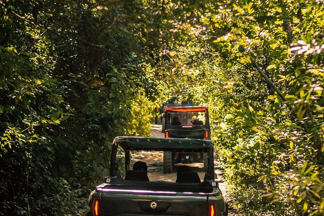 Jungle Buggy Day Tour - What’s in the Itinerary?