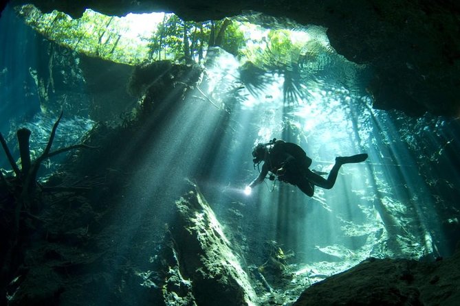 Cenotes 2-Day Scuba Diving Package in the Riviera Maya - A Closer Look at the Riviera Maya Cenotes 2-Day Scuba Experience