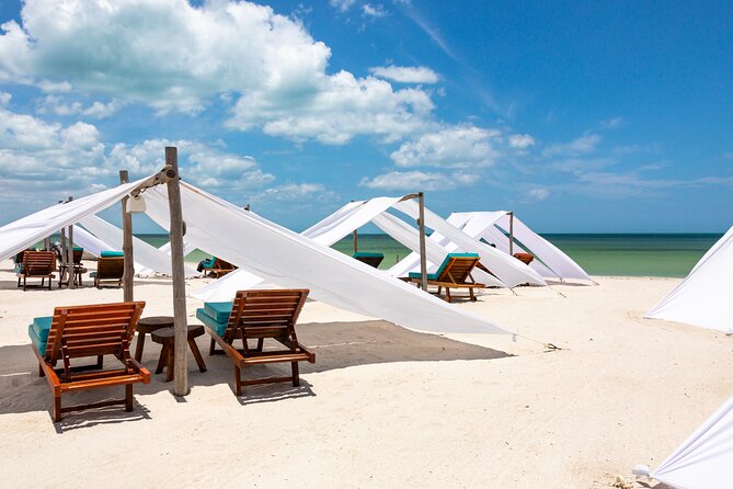 Full-Day Holbox Island Boat and Buggy Tour with Lunch - The Experience: What Travelers Say