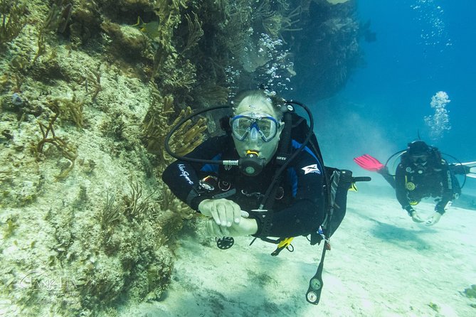 Half-Day Scuba Diving in Playa del Carmen for Small-Group - Pricing and Value