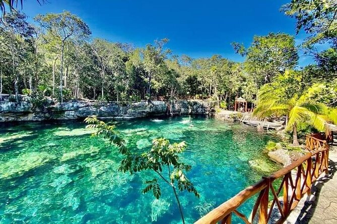 CENOTE DAY! with transportation from Cancun, Playa DC or Tulum - A Closer Look at the Cenotes Day Tour