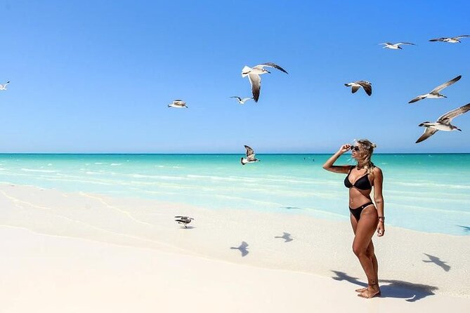 Holbox Exclusive Full Day Tour - An In-Depth Look at the Holbox Full Day Tour