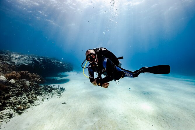 Scuba Diving in Playa del Carmen for Small Groups - Who Will Love This Tour?