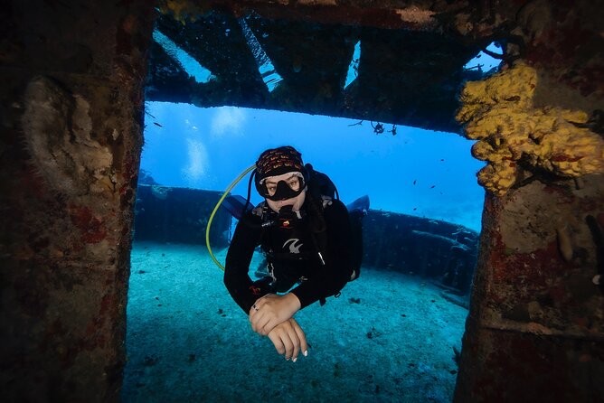 Scuba Diving in Playa del Carmen for Small Groups - Exploring the Underwater World in Playa del Carmen: A Small-Group Scuba Tour