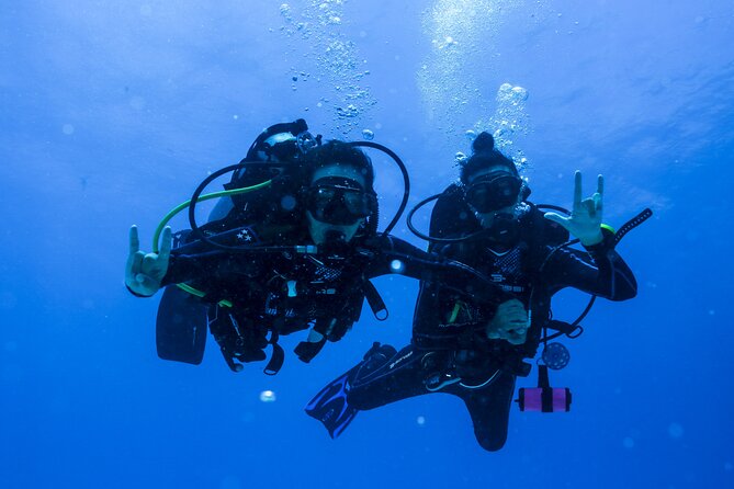 Scuba Diving for Beginners  Playa del Carmen or Tulum - The Sum Up: Who Is This Tour Perfect For?