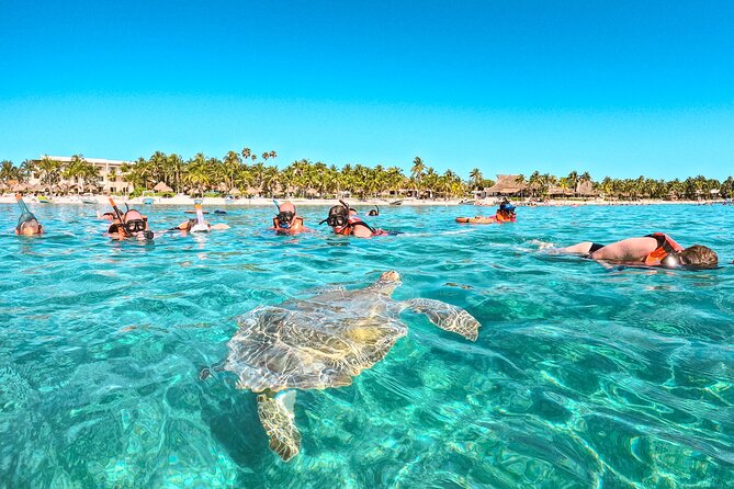 Snorkeling Adventure Swim with Sea Turtles at Akumal - Who Will Enjoy This Tour?