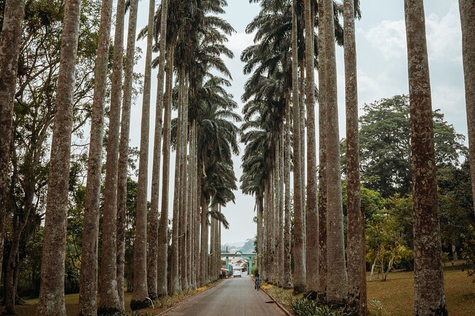 Explore Aburi Botanical Gardens And Boti Falls - An Overview of What to Expect