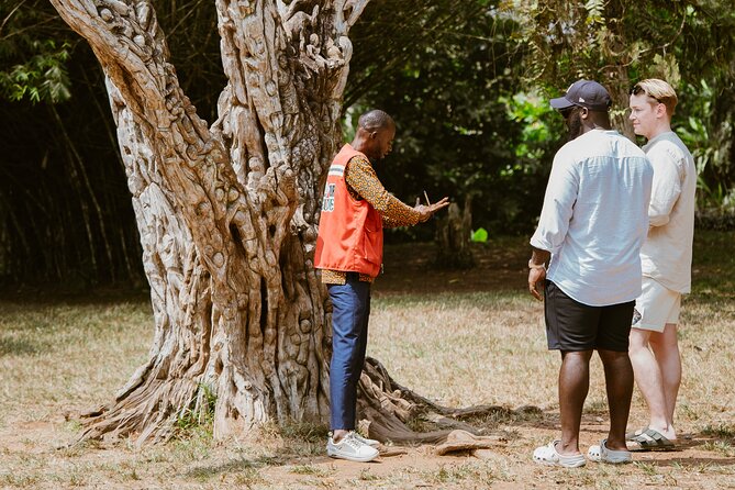 Explore Aburi Botanical Gardens And Boti Falls - In-Depth Look at Each Site