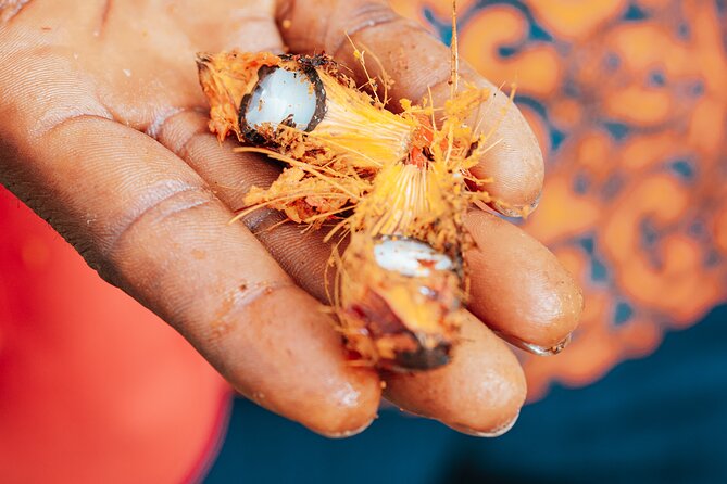 Explore Aburi Botanical Gardens And Boti Falls - Who Should Book This Tour?